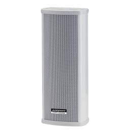 CLS220 COLUMNA 2 VIAS 2x2.5\"-10 /20W 100V IP44