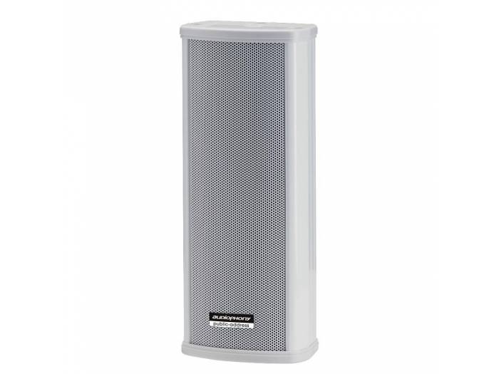 CLS220 COLUMNA 2 VIAS 2x2.5\"-10 /20W 100V IP44