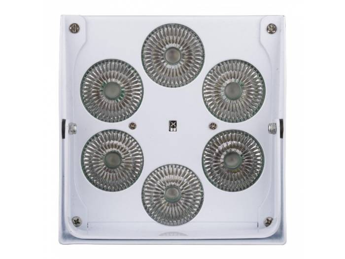 ACCU COLOR WHITE FOCO LED 6x10w RGBWA BATERÍA JBSYSTEMS