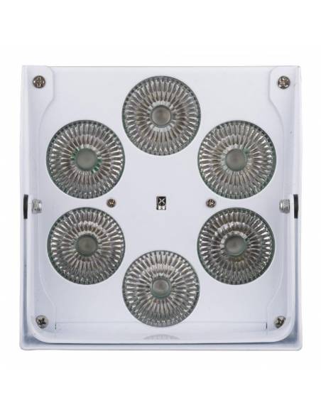 ACCU COLOR WHITE FOCO LED 6x10w RGBWA BATERÍA JBSYSTEMS