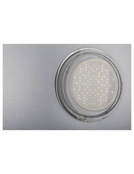 LED UV-GUN LUZ NEGRA 100W BRITEQ