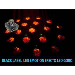 Black Label Led Emotion | Mas Que Sonido 2