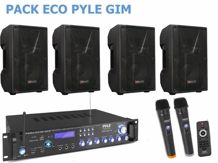 PACK ECO GIM PYLE PLUS - 4 Altavoces 10  pulgadas - 2