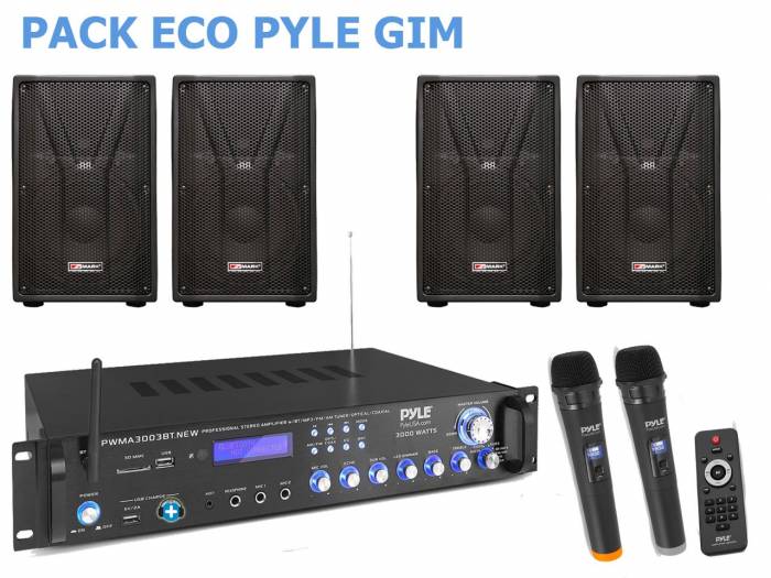 PACK ECO GIM PYLE PLUS - 4 Altavoces 10  pulgadas - 3