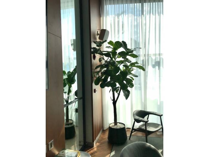 WORK Pro NEO 5 Caja acústica pasiva 40 W @ 8 Ohm, 16/8/4/2 W @ L100V.