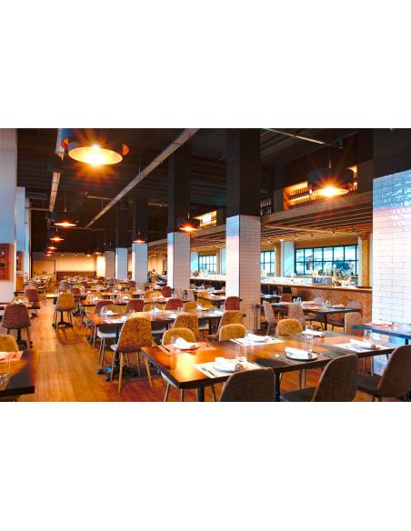 WORK Pro PA 5000 Amplificador 480 W @ 8 Ohm, L70/100V