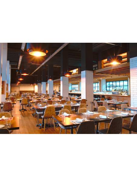 WORK Pro PA 5000 Amplificador 480 W @ 8 Ohm, L70/100V