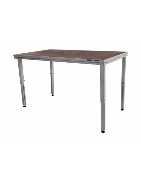 WORK Pro WST 21 