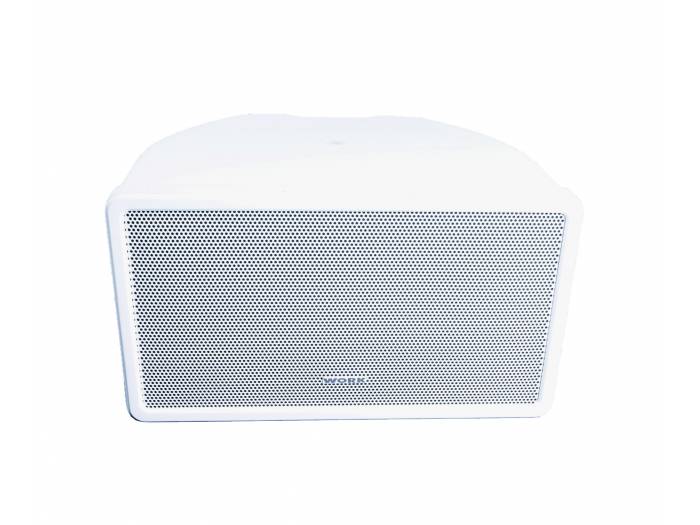 WORK Pro WFS 10 CX Proyector de sonido para exterior