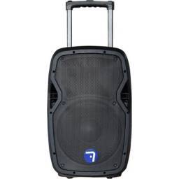 Seven Sound PASV-12AW | Masquesonido.com 2