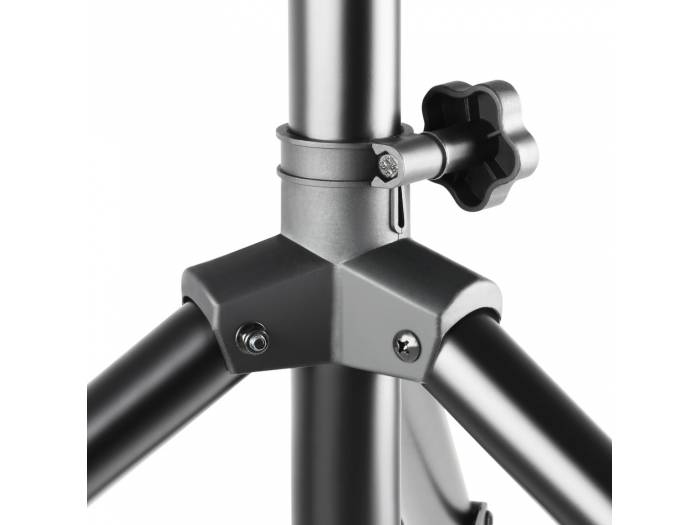 Adam Hall Stands SPS 023 SET - Set 2 Soporte de Bafle con Bolsa