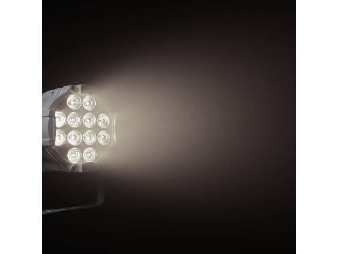 Cameo STUDIO PAR DTW - 