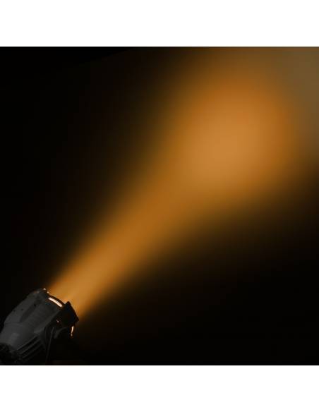 Cameo STUDIO PAR DTW - 