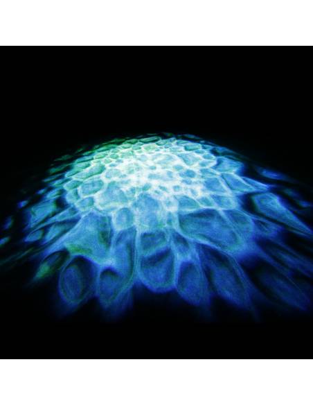 Cameo SCUBA - Luz de efectos acuáticos con LED de 90 W, rueda de colores y dos lentes