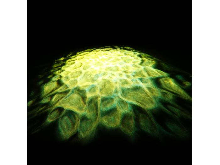 Cameo SCUBA - Luz de efectos acuáticos con LED de 90 W, rueda de colores y dos lentes