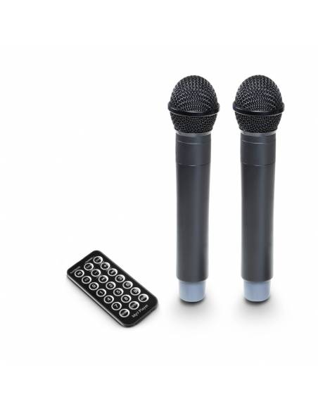 LD Systems ROADBUDDY 10 HHD 2 B5 - 