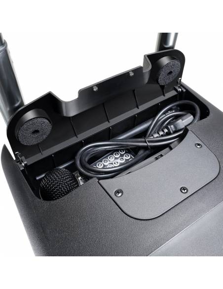 LD Systems ROADBUDDY 10 HHD 2 B6 - 