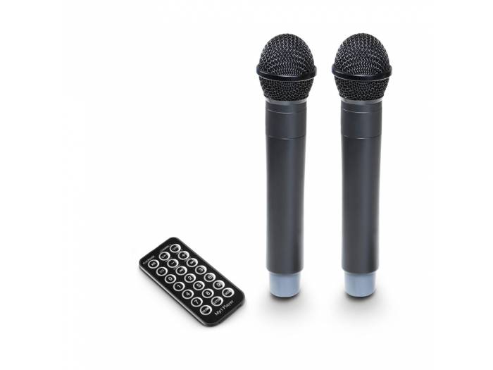 LD Systems ROADBUDDY 10 HHD 2 B6 - 