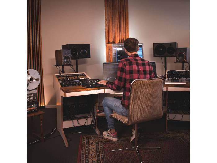 Palmer MONICON XL - Controlador de monitor de estudio activo - 16