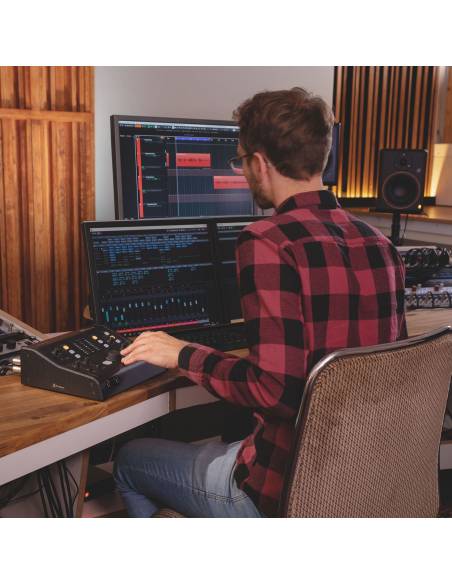 Palmer MONICON XL - Controlador de monitor de estudio activo - 17