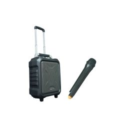 MARK MAM 90 USB MKII Sistema audio portátil amplificado