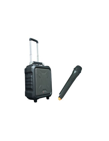 MARK MAM 90 USB MKII Sistema audio portátil amplificado