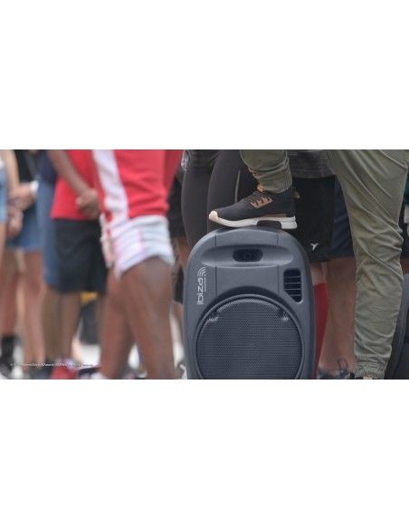 Pack Ibiza Sound Port 12 VHF MkII - 2 - 32