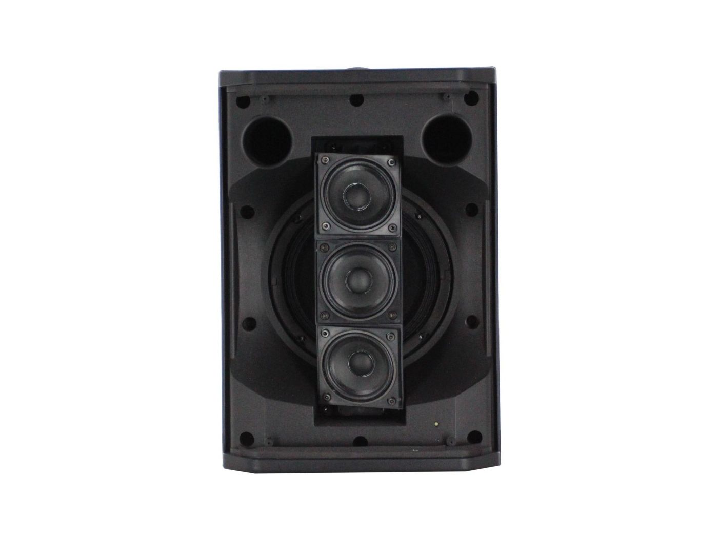 DEFINITIVE AUDIO ATLANTIS PA-8 Altavoz Bateria 8 pulgadas - 8