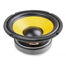 Fenton Wide Range Kevlar 20cm 250W RMS | Mas Que Sonido