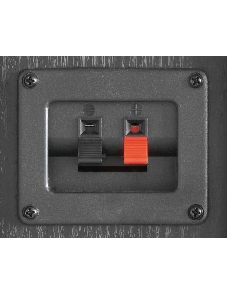 Fenton SHFT52B Conjunto Torres 6.5\" Negro 