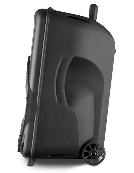 Fenton FT10LED Bafle Activo 10" 450W 170091 - 6