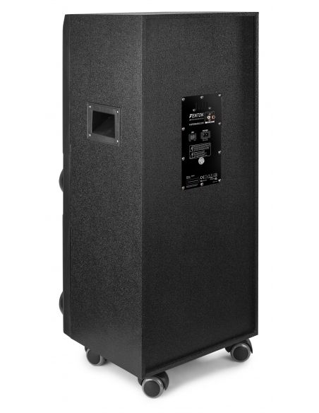 Fenton LIVE2104 Karaoke Station sobre ruedas 2x 10” 178425 - 8