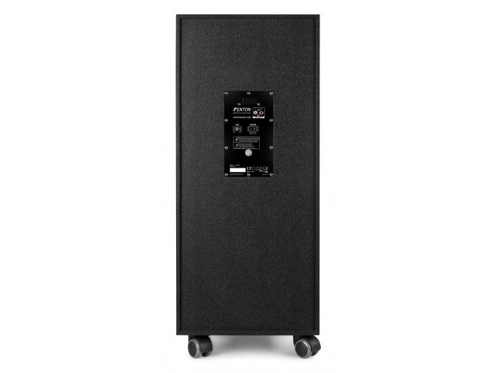 Fenton LIVE2104 Karaoke Station sobre ruedas 2x 10” 178425 - 9