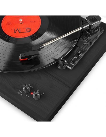 Fenton RP165B Giradiscos Negra Gris 102151 - 8