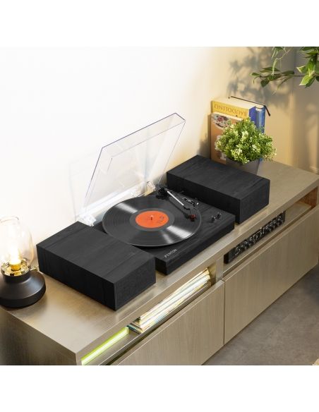 Fenton RP165B Giradiscos Negra Gris 102151 - 10