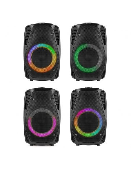 Fenton FT8LED-MK2 Sistema portátil de sonido 8" 170018 - 4