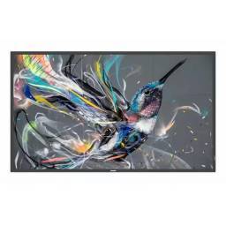 Philips 75" Q-Line  18/7, 4K UHD, USB auto play, LAN - 1 2