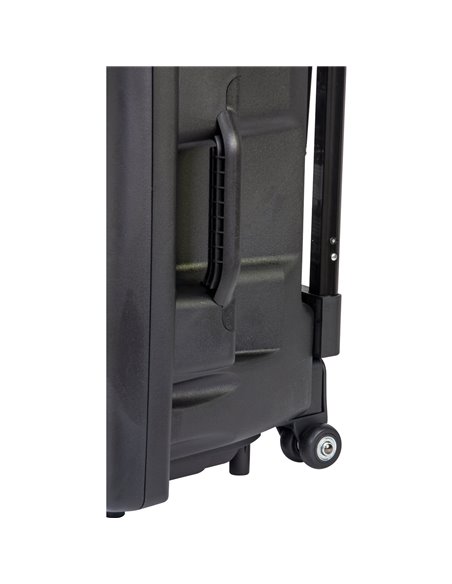 IBIS 12'' PORTABLE PA SYSTEM W/ 2 VHF MIC /USB-SD REC /VOX, BLUETOOTH PORT12VHF-BT PORT12VHF-BT