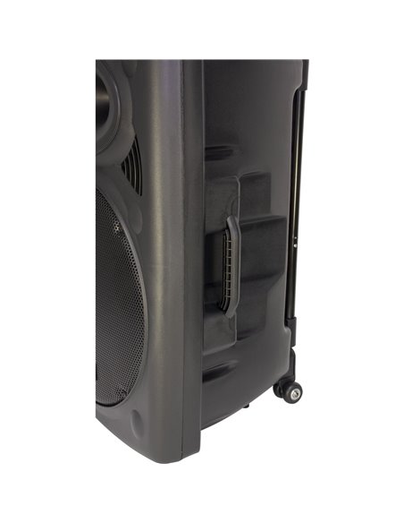 IBIS 15'' PORTABLE PA SYSTEM W/ 2 VHF MIC /USB-SD BLUETOOTH /VOX CONTROL PORT15VHF-BT PORT15VHF-BT