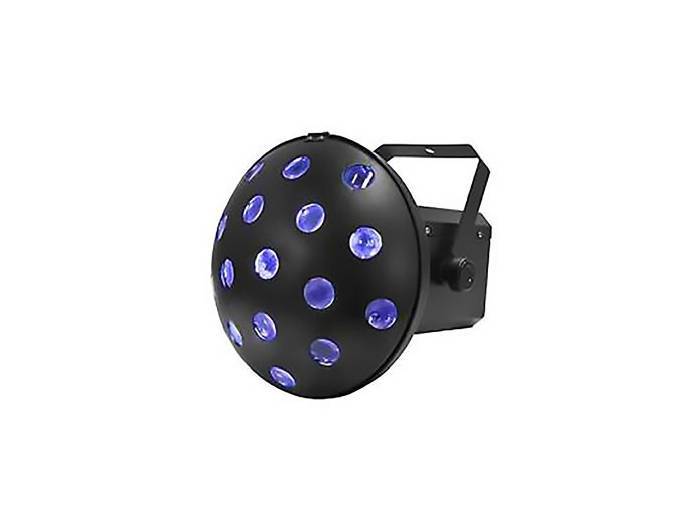 Black Label Led Fiesta - 8