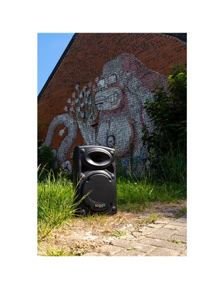 IBIS 12'' PORTABLE PA SYSTEM W/ 2 UHF MIC /USB-SD /VOX, BLUETOOTH PORT12UHF PORT12UHF-BT