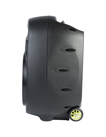 IBIS 15’’ PORTABLE PA SYSTEM/2 VHF MIC/USB-MP3/VOX, BLUETOOTH, TWD PORT15VHF-MKII-TWS