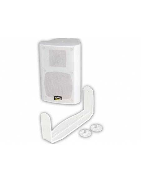 AMS 100 LN - Caja Acustica de linea de 100v - Color Negro