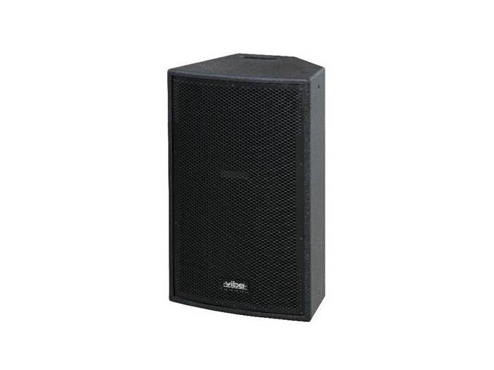 JB Systems VIBE-12 MK2 500 WATIOS PEAK - 1