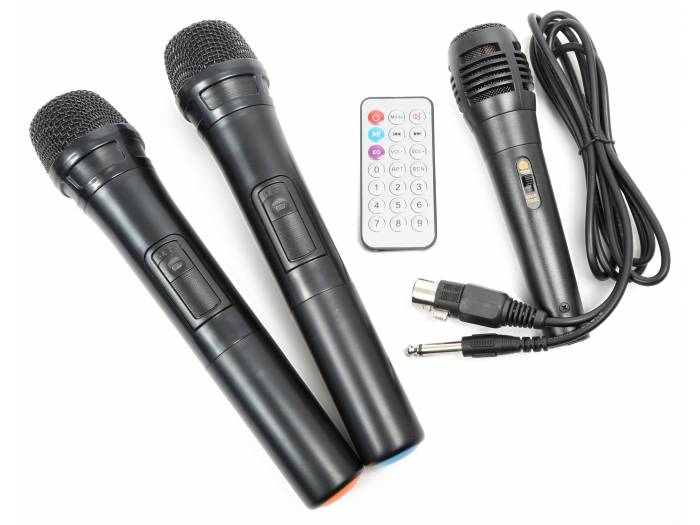 Vonyx ST180 Sistema Portatil 12'' 450W 170013 - 3