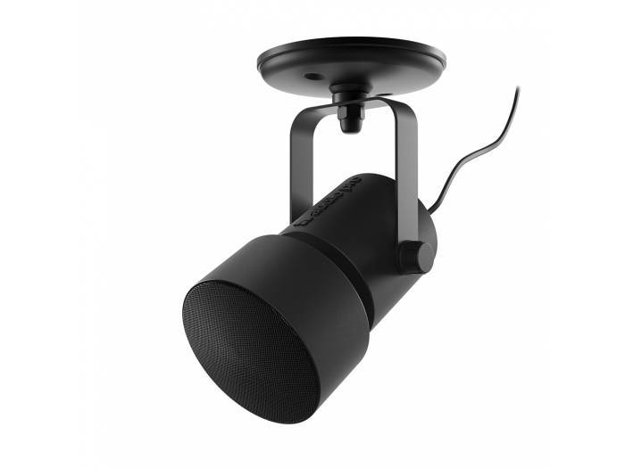 Audio Pro Business SP-1 Negro Altavoz inalámbrico 2,75” - 28