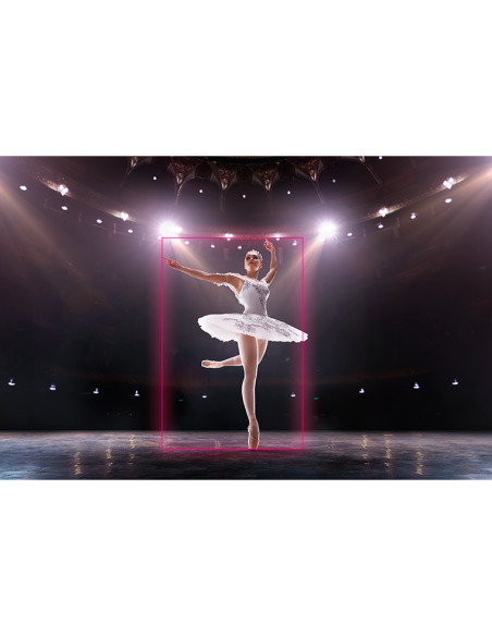 AVER TR315 Cámaras PTZ con seguimiento automático basado en IA - 8