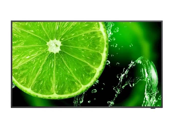 NEC MultiSync E658 65" Display - 2