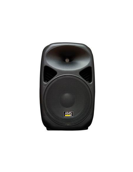 AMS ASP 415 MKII Altavoz Pasivo 15"