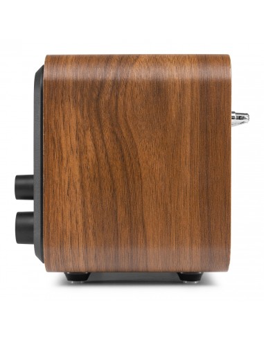 AUDIZIO Milan DAB+ Radio con Batería Madera